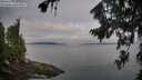 ./images/koeye/fitz-hugh/20260809/fitz-hugh20260809_071002M.jpg