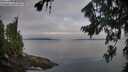 ./images/koeye/fitz-hugh/20260809/fitz-hugh20260809_072001M.jpg