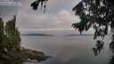 ./images/koeye/fitz-hugh/20260809/fitz-hugh20260809_073002M.jpg