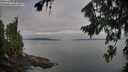 ./images/koeye/fitz-hugh/20260809/fitz-hugh20260809_074001M.jpg