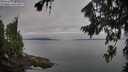 ./images/koeye/fitz-hugh/20260809/fitz-hugh20260809_074501M.jpg