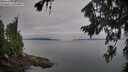 ./images/koeye/fitz-hugh/20260809/fitz-hugh20260809_075001M.jpg