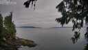 ./images/koeye/fitz-hugh/20260809/fitz-hugh20260809_075501M.jpg