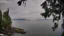 ./images/koeye/fitz-hugh/20260809/fitz-hugh20260809_080001M.jpg