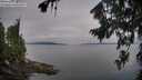 ./images/koeye/fitz-hugh/20260809/fitz-hugh20260809_080501M.jpg