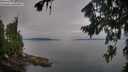 ./images/koeye/fitz-hugh/20260809/fitz-hugh20260809_083002M.jpg
