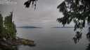 ./images/koeye/fitz-hugh/20260809/fitz-hugh20260809_083501M.jpg