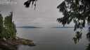 ./images/koeye/fitz-hugh/20260809/fitz-hugh20260809_084001M.jpg