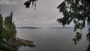 ./images/koeye/fitz-hugh/20260809/fitz-hugh20260809_084501M.jpg