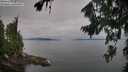 ./images/koeye/fitz-hugh/20260809/fitz-hugh20260809_085001M.jpg