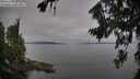 ./images/koeye/fitz-hugh/20260809/fitz-hugh20260809_090001M.jpg