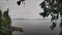 ./images/koeye/fitz-hugh/20260809/fitz-hugh20260809_093501M.jpg