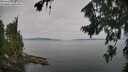 ./images/koeye/fitz-hugh/20260809/fitz-hugh20260809_094001M.jpg