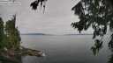 ./images/koeye/fitz-hugh/20260809/fitz-hugh20260809_094501M.jpg