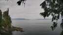 ./images/koeye/fitz-hugh/20260809/fitz-hugh20260809_095002M.jpg