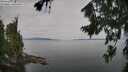 ./images/koeye/fitz-hugh/20260809/fitz-hugh20260809_100501M.jpg