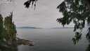 ./images/koeye/fitz-hugh/20260809/fitz-hugh20260809_101001M.jpg