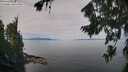 ./images/koeye/fitz-hugh/20260809/fitz-hugh20260809_103001M.jpg
