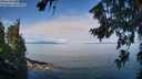 ./images/koeye/fitz-hugh/20260809/fitz-hugh20260809_104501M.jpg