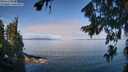 ./images/koeye/fitz-hugh/20260809/fitz-hugh20260809_105001M.jpg