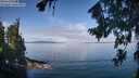 ./images/koeye/fitz-hugh/20260809/fitz-hugh20260809_105501M.jpg