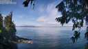 ./images/koeye/fitz-hugh/20260809/fitz-hugh20260809_110501M.jpg