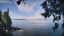 ./images/koeye/fitz-hugh/20260809/fitz-hugh20260809_112501M.jpg