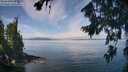 ./images/koeye/fitz-hugh/20260809/fitz-hugh20260809_113002M.jpg