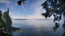 ./images/koeye/fitz-hugh/20260809/fitz-hugh20260809_114501M.jpg