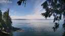 ./images/koeye/fitz-hugh/20260809/fitz-hugh20260809_115001M.jpg