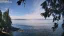 ./images/koeye/fitz-hugh/20260809/fitz-hugh20260809_115501M.jpg