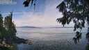 ./images/koeye/fitz-hugh/20260809/fitz-hugh20260809_121501M.jpg