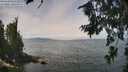./images/koeye/fitz-hugh/20260809/fitz-hugh20260809_123501M.jpg