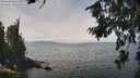 ./images/koeye/fitz-hugh/20260809/fitz-hugh20260809_124001M.jpg