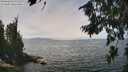 ./images/koeye/fitz-hugh/20260809/fitz-hugh20260809_124501M.jpg