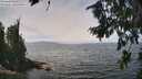 ./images/koeye/fitz-hugh/20260809/fitz-hugh20260809_125001M.jpg