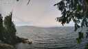 ./images/koeye/fitz-hugh/20260809/fitz-hugh20260809_125501M.jpg