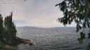 ./images/koeye/fitz-hugh/20260809/fitz-hugh20260809_131001M.jpg
