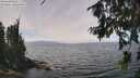 ./images/koeye/fitz-hugh/20260809/fitz-hugh20260809_131502M.jpg