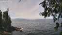 ./images/koeye/fitz-hugh/20260809/fitz-hugh20260809_132001M.jpg