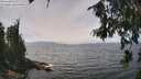 ./images/koeye/fitz-hugh/20260809/fitz-hugh20260809_132502M.jpg