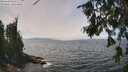 ./images/koeye/fitz-hugh/20260809/fitz-hugh20260809_133501M.jpg