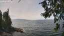 ./images/koeye/fitz-hugh/20260809/fitz-hugh20260809_134001M.jpg