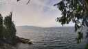 ./images/koeye/fitz-hugh/20260809/fitz-hugh20260809_135001M.jpg