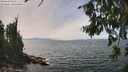 ./images/koeye/fitz-hugh/20260809/fitz-hugh20260809_140501M.jpg