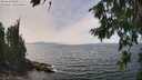 ./images/koeye/fitz-hugh/20260809/fitz-hugh20260809_141001M.jpg