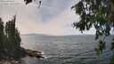 ./images/koeye/fitz-hugh/20260809/fitz-hugh20260809_141502M.jpg