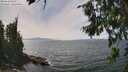 ./images/koeye/fitz-hugh/20260809/fitz-hugh20260809_142002M.jpg