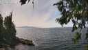 ./images/koeye/fitz-hugh/20260809/fitz-hugh20260809_143501M.jpg