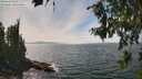 ./images/koeye/fitz-hugh/20260809/fitz-hugh20260809_144501M.jpg